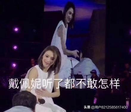 戴佩妮演唱会_戴佩妮演唱会歌单
