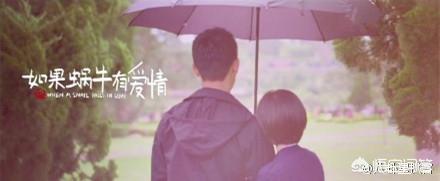 如果蜗牛有爱情 电视剧（如果蜗牛有爱情 电视剧好看吗）