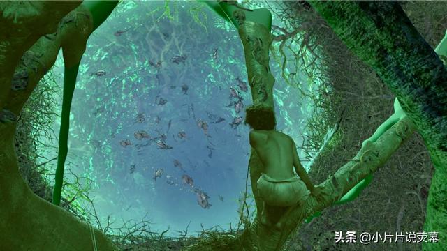 少年派的奇幻漂流高清下载（少年派的奇幻漂流 1080p下载）