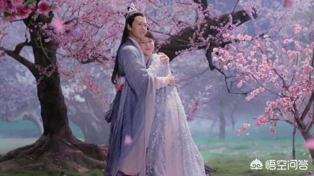 如若巴黎不快乐免费观看电视剧