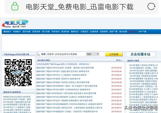 电视剧在线观看新（新电视剧在线播放）