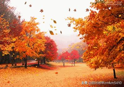 深秋电视剧免费观看（秋生电视剧）