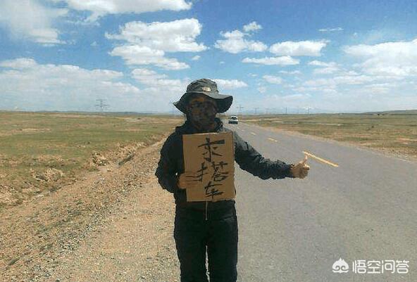 善良的女房东味道2（善良的女房东味道2 剧情简介）