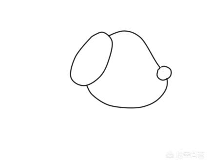 小狗图片（小狗图片简笔画）