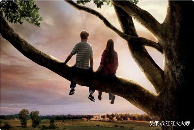 怦然心动中文版电子书（怦然心动原著中文版在线阅读）