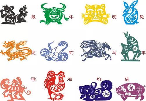 十二生肖资料大全（十二生肖资料大全2019）