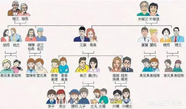 正义角落电视剧免费观看（正义角落电视剧免费观看高清播放）