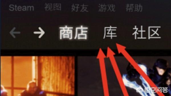 植物大战植物中文免费版_植物大战植物中文免费版平板