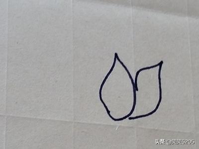 荷花简笔画_荷花简笔画图片
