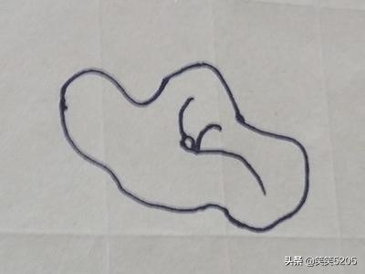 荷花简笔画_荷花简笔画图片