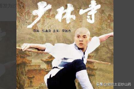 少林寺电影全集免费少林寺_少林寺电影全集播放