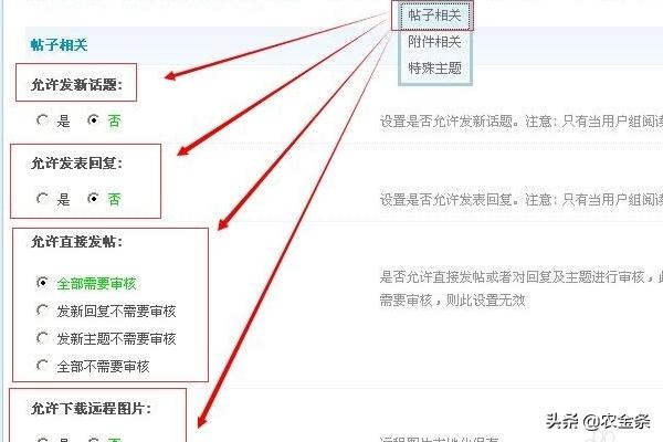 discuz论坛_discuz论坛网页版打开