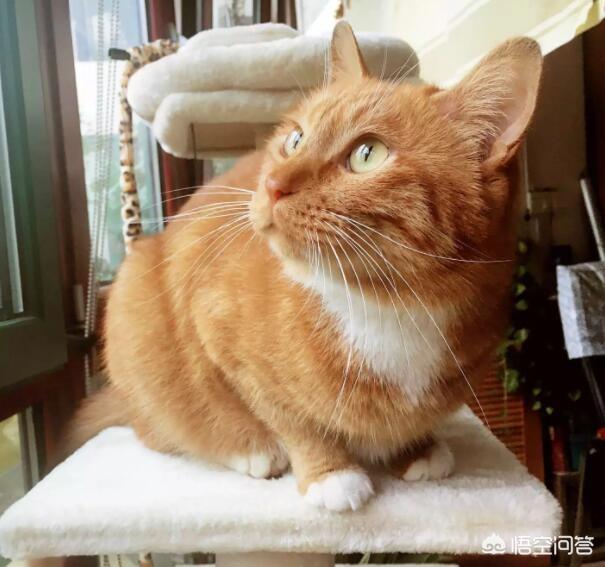 好看的图片大全_好看的图片大全大图