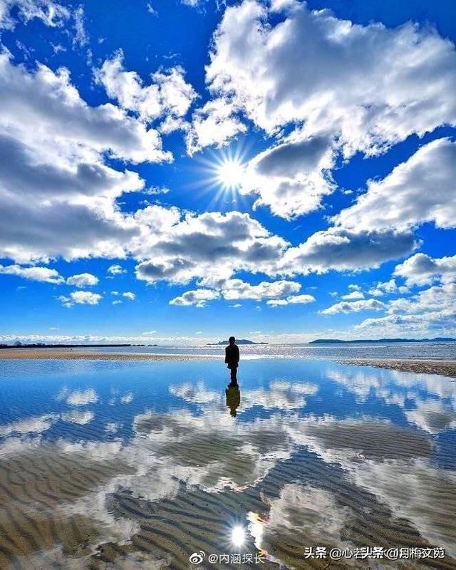 我爱的人不爱我（我爱的人不爱我怎么办）