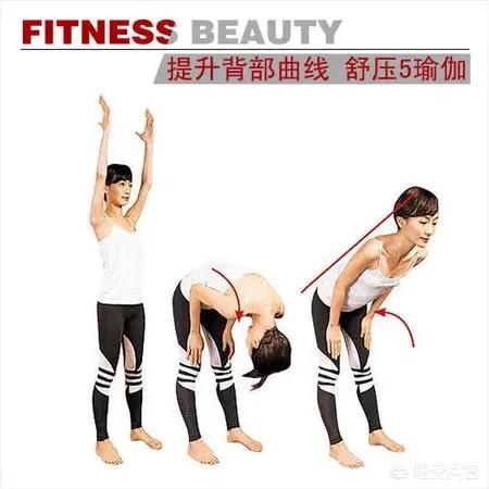 瑜伽动作大全图100个（瑜伽动作图集）