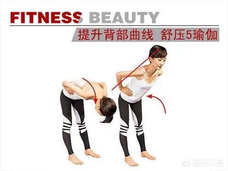 瑜伽动作大全图100个（瑜伽动作图集）