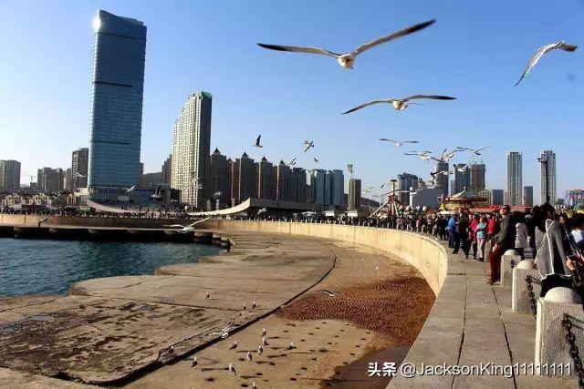 大连旅游必去景点（大连旅游必去景点老虎滩）