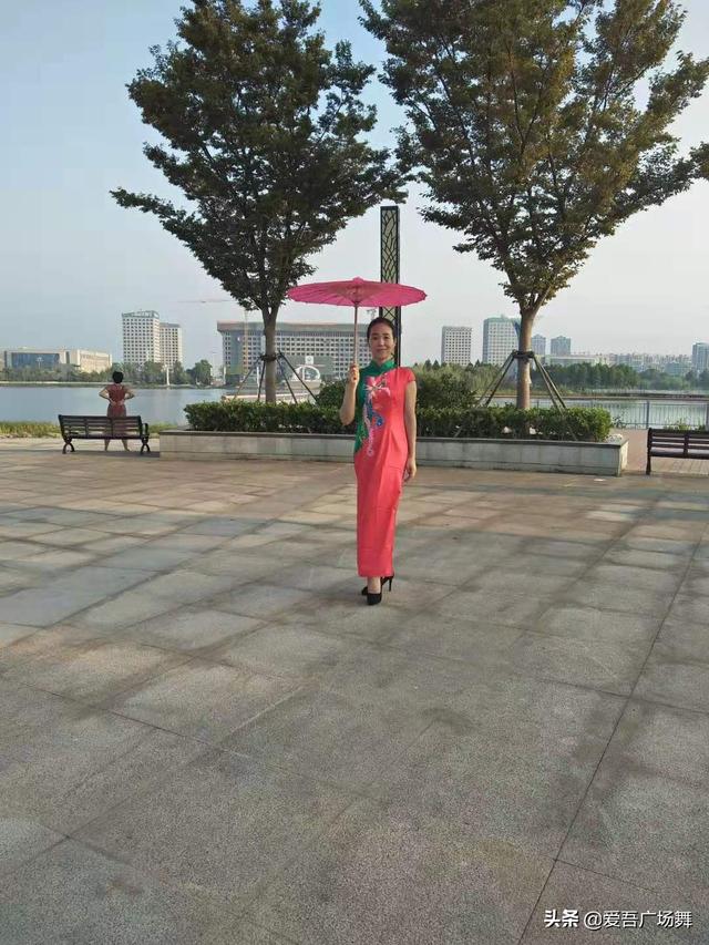 广场舞视频大全免费下载安装